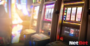 9nbet|Bingo Online com Bônus de Boas-Vindas – Participe ao Vivo